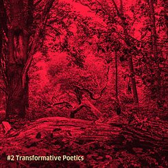 Radiogram #2: Transformative Poetics
