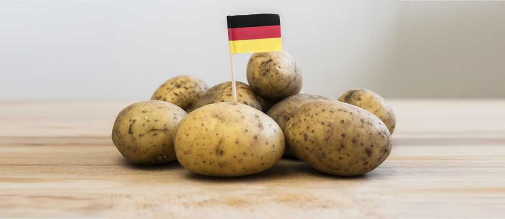 Die Kartoffeln kamen Mitte des 16. Jahrhunderts mit den Schiffen der Eroberer der Neuen Welt nach Europa. Es dauerte aber noch fast 300 Jahre, bis sie ihren Weg in die deutschen Küchen fanden. 