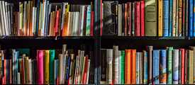 Bücherregal