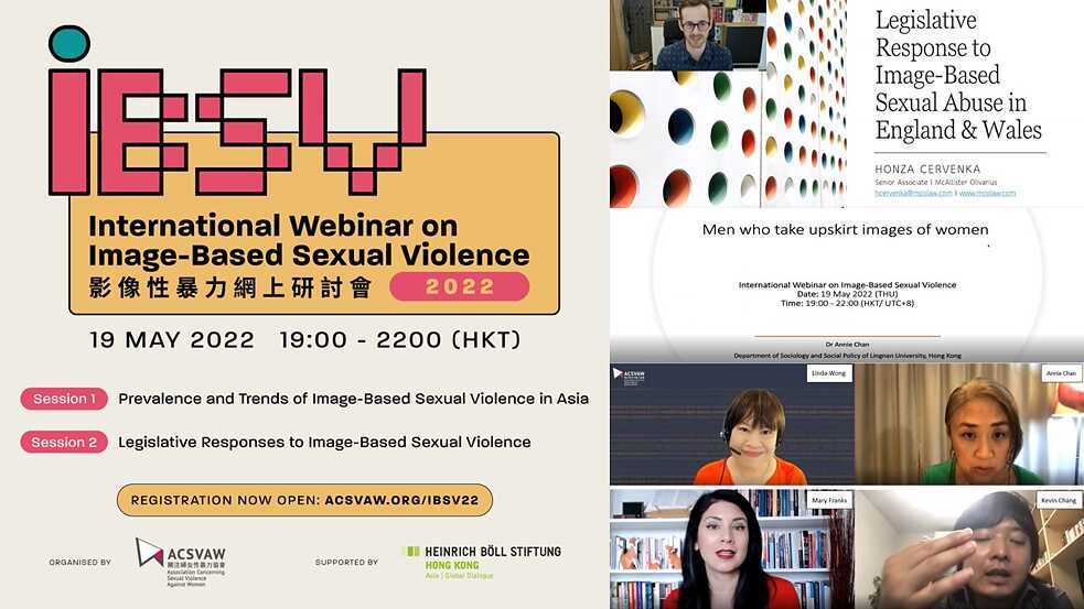 Böll-Stiftung IBSV Webinar