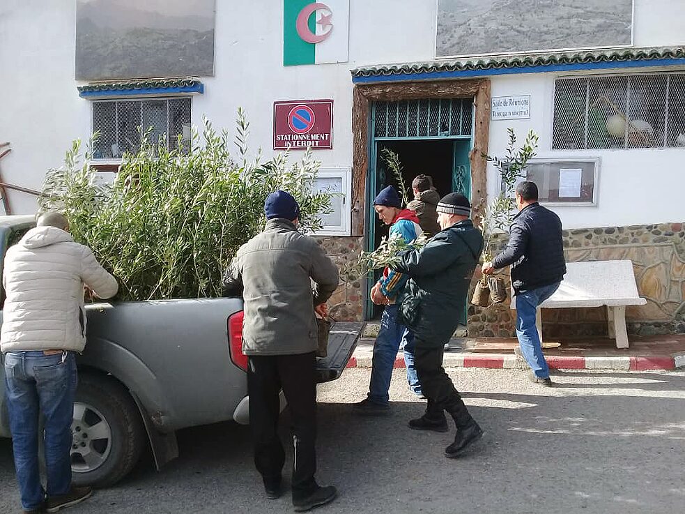 Volunteers, six men, take tree seedlings from a Pick-up truck into a building.  