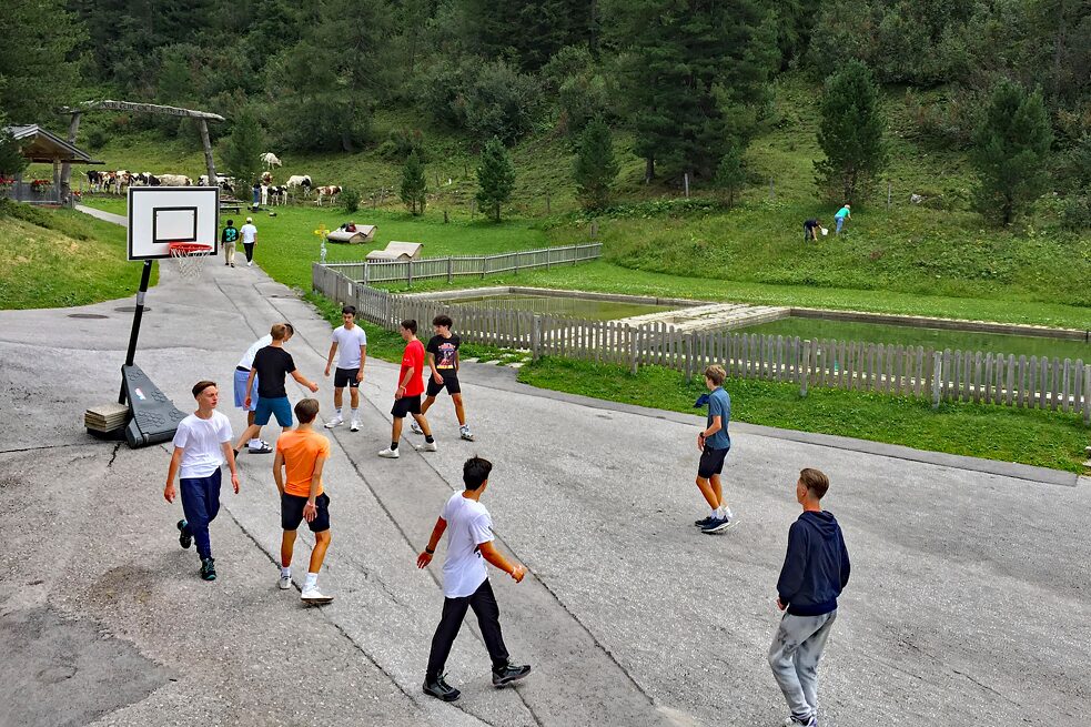 Jugendliche spielen Basketball, im Hintergrund eine Herde Fleckvieh.