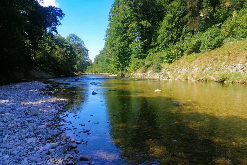 Fluss, Kiesstrand, Bäume