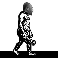 The character main image