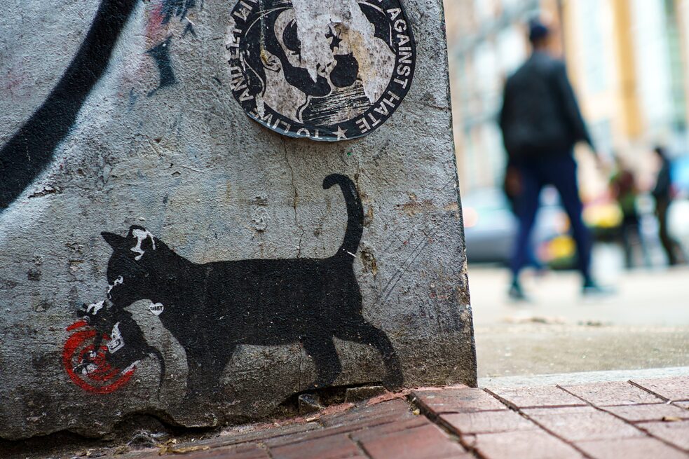 Tabby: Tabby Cat vs. Banksy Radar Rat
