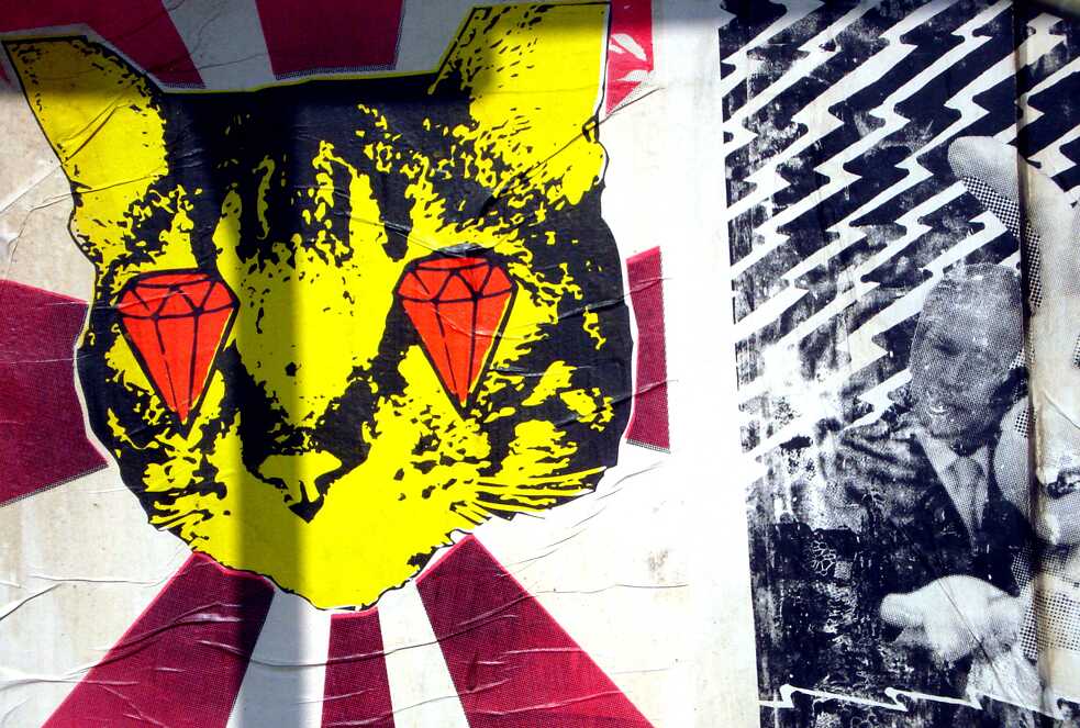 "Cat" de Cat Cult 1