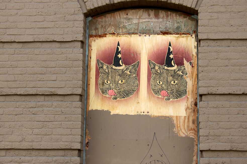 "Cat" de Cat Cult 3