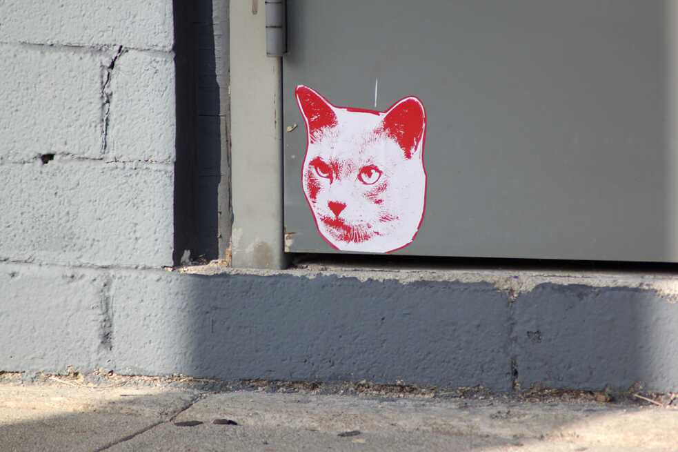 "Cat" de Cat Cult 2