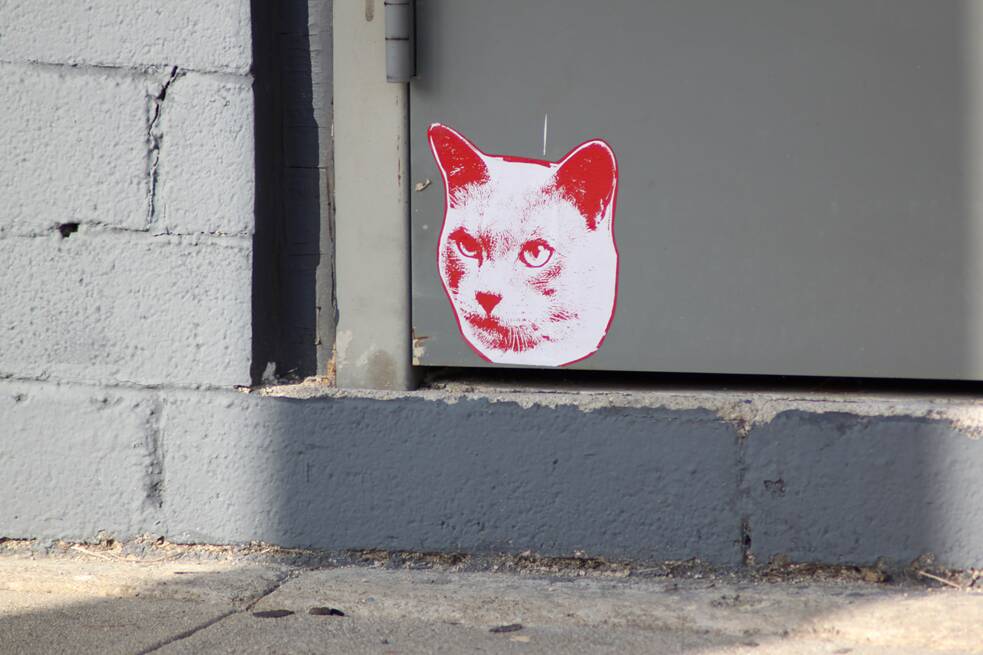 „Cat“ by Cat Cult 