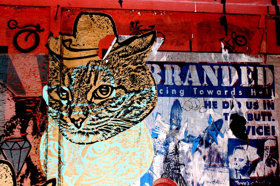 „Cat“ by Cat Cult 