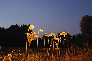 “Leben, Tod, Liebe und Gerechtigkeit”