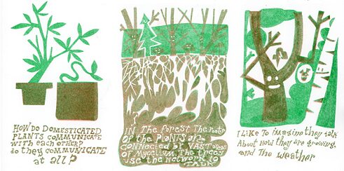 Zem divu podos audzētu augu attēla ir rakstīts: Kā pieradināti augi sazinās savā starpā? Vai viņi vispār sazinās? Tālāk seko attēls, kas ilustrē micēliju mežā, un teksts: Mežā augu saknes ir savienotas ar micēliju. Koki izmanto tīklu, lai sazinātos savā starpā. Nākamajā attēlā redzami divi koki ar runas burbuļiem. Zem tā ir rakstīts: Man patīk iedomāties, ka viņi runā par laikapstākļiem un to, kā tie aug.