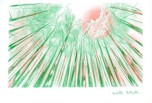 Jetzt sieht man aus der Perspektive des wieder kleinen Menschen nach oben und wie lang sich die Bäume in den Himmel strecken.