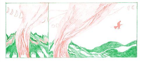 Die Frau fliegt auf einem Besen in den Himmel davon.