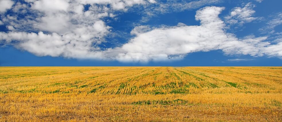 Feld nach der Ernte in der Ukraine