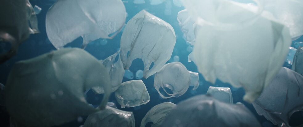 The Beauty, Regie: Pascal Schelbli