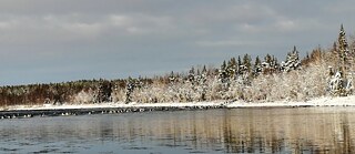 Der Fluss Ounasjoki im Oktober, wenn die Rentiere für den Winter auf die andere Uferseite getrieben werden. 