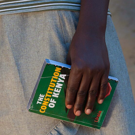 Hand holding a copy of 'The Constitution of Kenya',