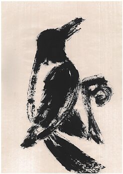 Bird looks to the right