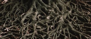 Utopia de uma cidadã