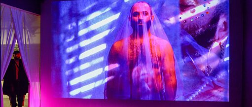 Duvardaki bir video projeksiyonunda, şeffaf bir peçeyle örtülmüş üstü çıplak bir erkek görülüyor. Arka plana, küpe ve inci kolye takan erkeğin yüzünün bir kısmı aynı şekilde yansıtılmış. Resmin sol tarafında aynı erkek siyah giymiş, iki beyaz perde arasında dururken görülüyor.* 