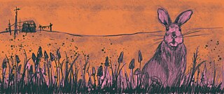 Die andere Seite des Traums 