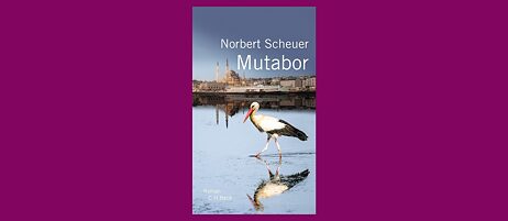 Buchcover: Mutabor