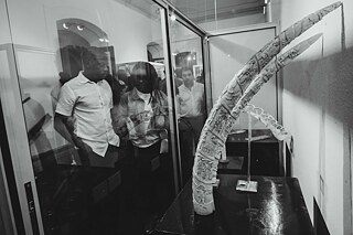 Preservar & seguir em frente