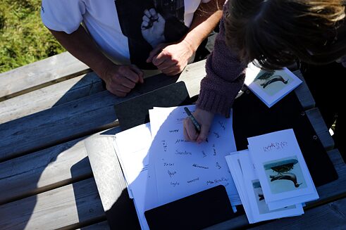 Hands pointing at a sheet of paper with different names