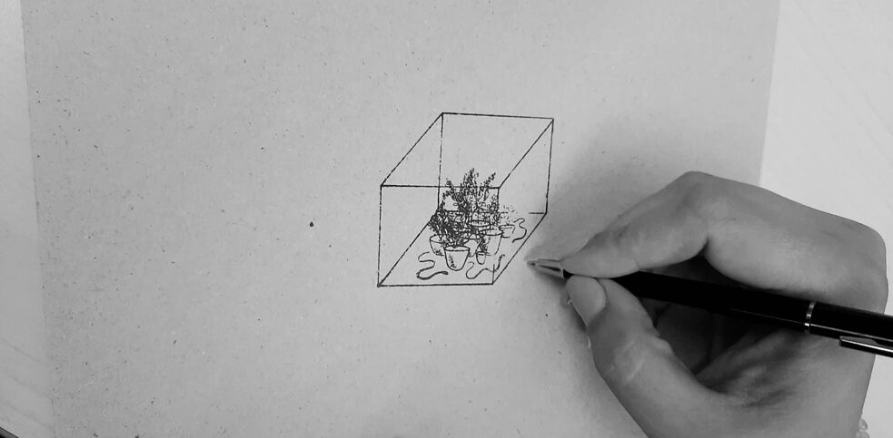 Residency Tangerines and Spices