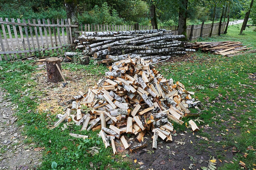 V obci nie je plynové kúrenie. Roľníci si robia zásoby dreva na zimu.