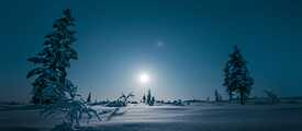 A snowy landscape by night