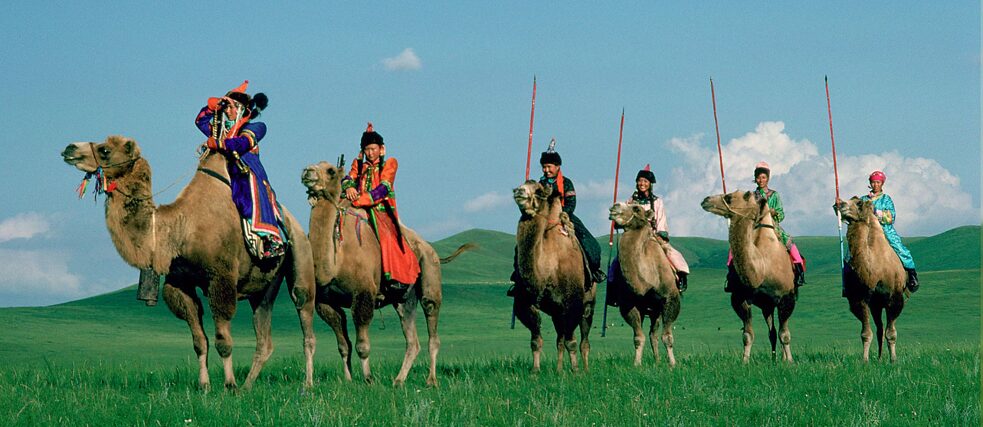 Sechs Personen reiten auf Kamelen durch die Mongolei.