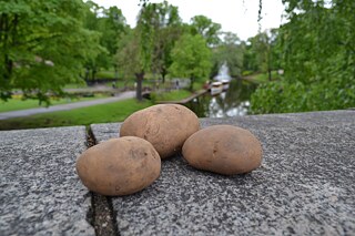 Kartoffel und Sehenswürdigkeit aus lettischer Sicht