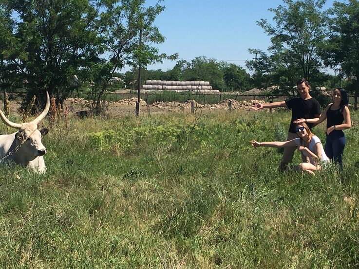 Romantik der Stadt aus ungarischer Sicht