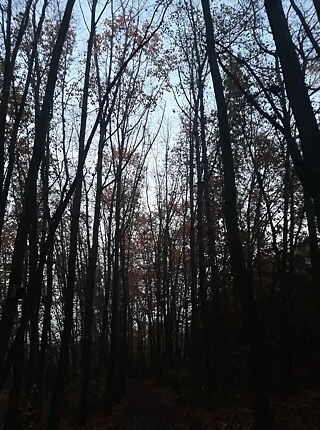 "Bei mir es hat viel verändert durch Corona, aber es ist auch noch viel gleich. Zum beispiel ich habe keine Tranings, also ich habe mit laufen angefangen und ich liebe es. Ich mochte mit es mehrmals beginnen, aber erst in Corona habe ich wirklich und ein bischen regelmäßig begonnen. Ich liebe auch in der letzten Zeit mehr spazierengehen, also ich glaube, dass ich jetzt alle Sträßchen in meine Umgebung kenne. Und ich schicke die Briefe mit meine Freundin, das liebe uch sehr. Wir haben jetzt die Unterricht von Hause und es ist besser als im Frühling. Und in zwei Wochen gehen wir in der Schule wieder. Bei mir es ist super, weil ich die Freunde mehr sehe und die Unterricht ist in der Schule sicher besser als zu Hause."