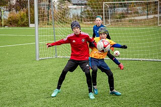 Fußball