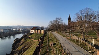 Auf dem Foto zu sehen ist der Prager Burgwall Vyšehrad. Auf der linken Seite des Bildes fließt die Moldau, auf der rechten Seite ist ein Weg, links und rechts davon sind grüne Wiesen und ein paar Bäume. Der Himmel im oberen Bereich des Fotos ist strahlend blau.