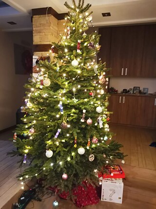 Zu Weinachten backen Lebkuchen und Beigli (traditionaler Walnuss und Mohnkuchen) und salziges Gebaeck.