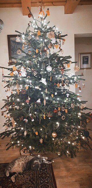 Hallo! Wir haben die Tradition, den Weihnachtsbaum jedes Jahr am 24. zu schmücken. Wir backen zusammen Lebkuchen und sind fröhlich