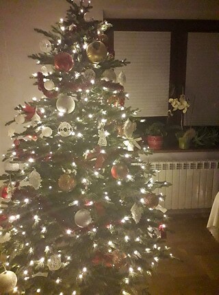 Hallo! Jedes Jahr versammeln wir uns hier am Vorabend des Heiligabends, um den Weihnachtsbaum zu schmücken und Lebkuchen zu backen.