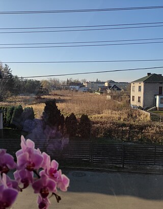 "Ich lebe in Myszków. Es ist eine Stadt mit ungefähr 32.000 Einwohnern. Ich habe ungefähr 15 Minuten zu Fuß zur Schule. Hier gibt es viele Geschäfte, Restaurants, Kirchen und Orte zum Lernen."