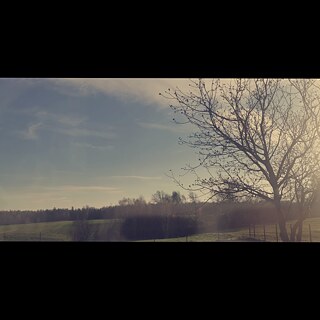 "Ich wohne mit meinen Eltern und Brüdern auf dem Land. In meinem Dorf leben ungefähr 800 Menschen, ich habe Freunde hier, es gibt einen Kindergarten, eine Kirche, Geschäfte hier, ich gehe gerne spazieren, weil meine Stadt viele Wälder und Waldwege hat."