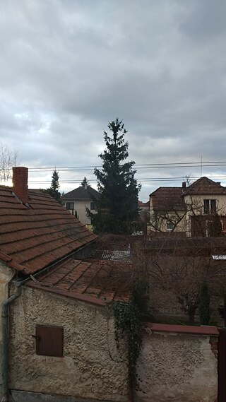 Hallo, da ist Anna. Aus dem Fenster sehe ich Häuser. Ich wohne in einem Einfamilienhaus mit meinen Eltern und meiner Schwester. Unser Haus liegt in der Stadt mit Name Veltrusy. Hier leben etwas 3000 Einwohner. Hier haben wir eine Schule. Hallo, da ist Sara. Aus dem Fenster sehe ich Häuser. Ich wohne in einer Wohnung mit meinen Eltern in Dorf. Hier leben etwas 900 Einwohner. Hier haben wir Kindergarten.