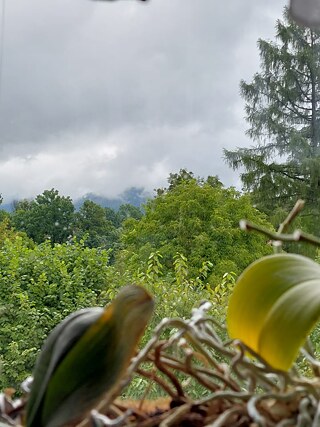 Der Aussicht aus meinem Fenster ist ja wunderbar. Man kann nur Bäume und Berge sehen, weil wir im Tal leben. Es gibt einen weiten Blick draus auf dem Dorf. Wenn Frühling oder Sommer kommen, die Sonne scheint und der Wind drin bläst, fühlt sich man sehr toll. Ach, ich kann ja nicht warten, bis es anfängt!