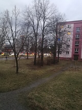 Ich wohne in einer Wohnung in einer Stadt. Hier leben etwa 18 000 Einwohner. Zur Schule gehe ich zu Fuß. Aus dem Fenster sehe ich Wohnblocks, Bäume und Straße.