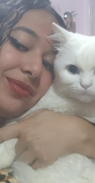 Ich kann nicht leben ohne meinen besten Freund und meinen Mitbewohner, meine liebe Katze, ich kann mir mein Leben ohne ihn nicht vorstellen