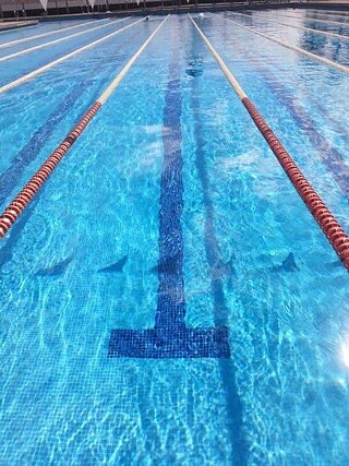 Wie ich bereits sagte, bin ich Schwimmerin und schwimmen ist Teil meiner täglichen Routine geworden und ich kann nicht ohne Schwimmen leben.