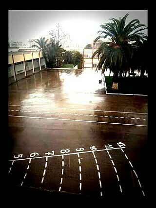 Meine Schule ist mein leben,ich kann nicht ohne sie leben. Die Schule kommt an der zweite Position nach meinen Eltern,weil Meine Schule mich verstärkt und damit vergesse meine Traurigkeit.