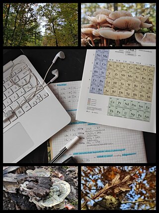 Hallo! Wir haben online Unterricht, deshalb verbringe ich viel Zeit an meinem Schreibtisch mit meinem Laptop. Wenn ich Freizeit habe, gehe ich in den Wald spazieren, was in der Nähe ist